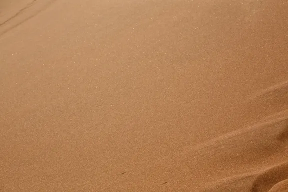 Kazino Bingo Millionaire Pagalba